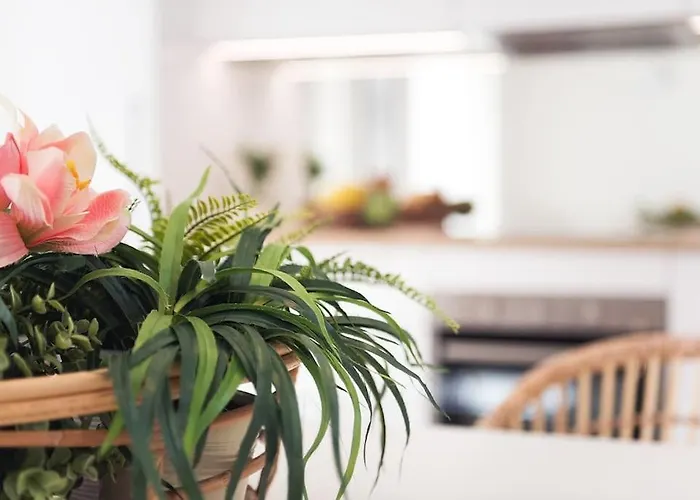 Vayadu Etoile House Apartment Ospedaletti